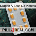 Dragon À Base De Plantes cialis3
